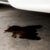 Car Oil Leak