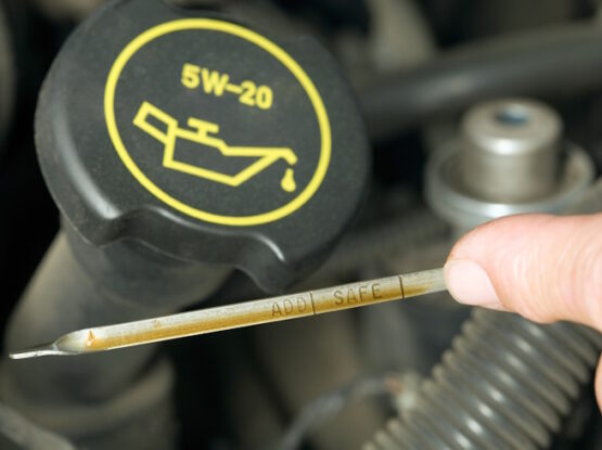 Read Oil on Dipstick